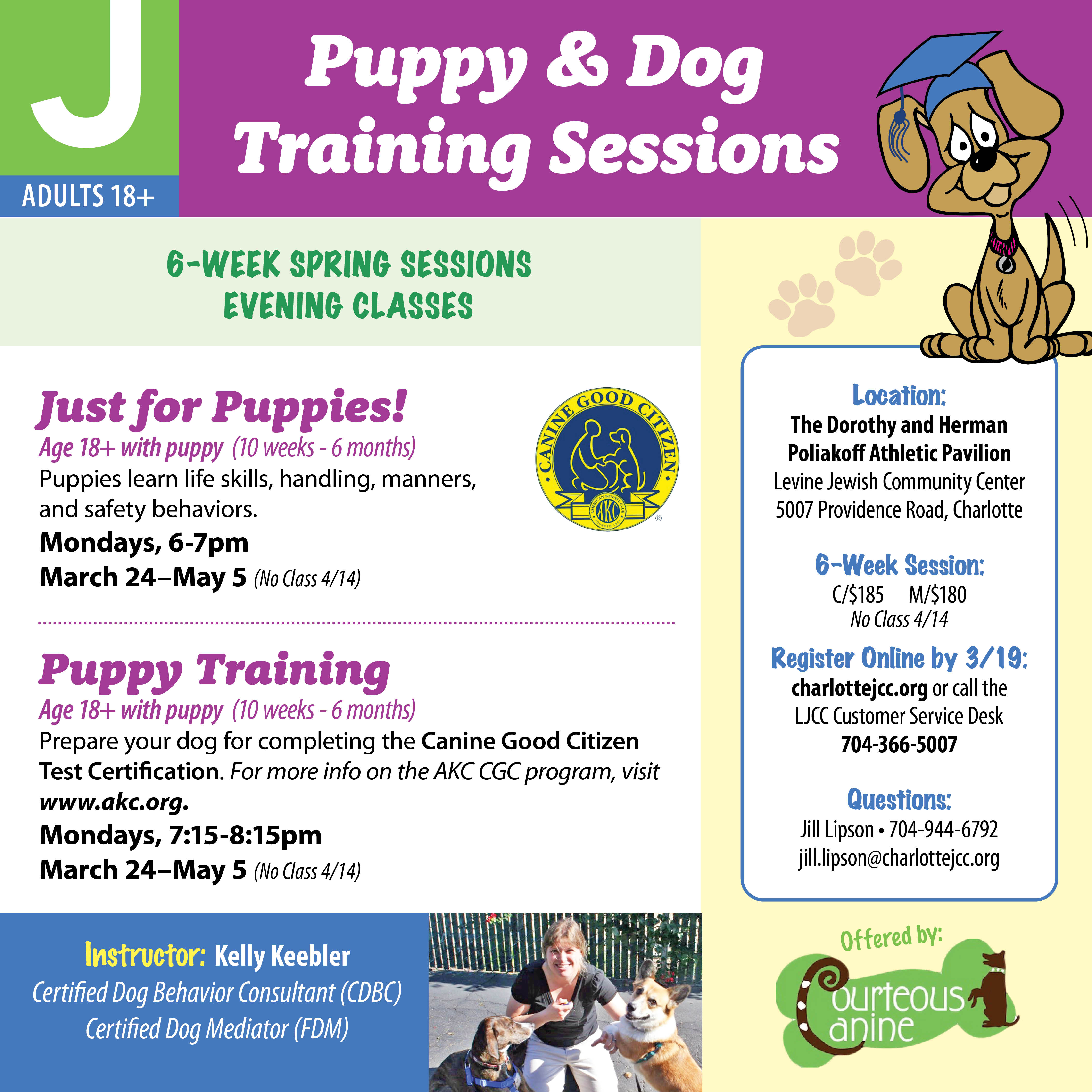 Puppy & Dog Training Classes - Levine Jewish Community Center ...